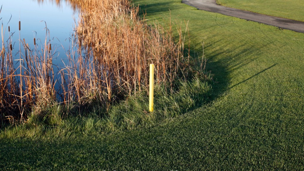 Golf Rules Beginners Need to Know